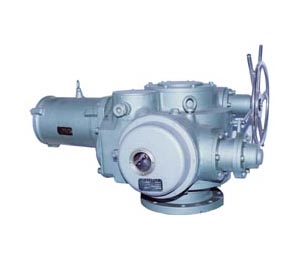 DZW500